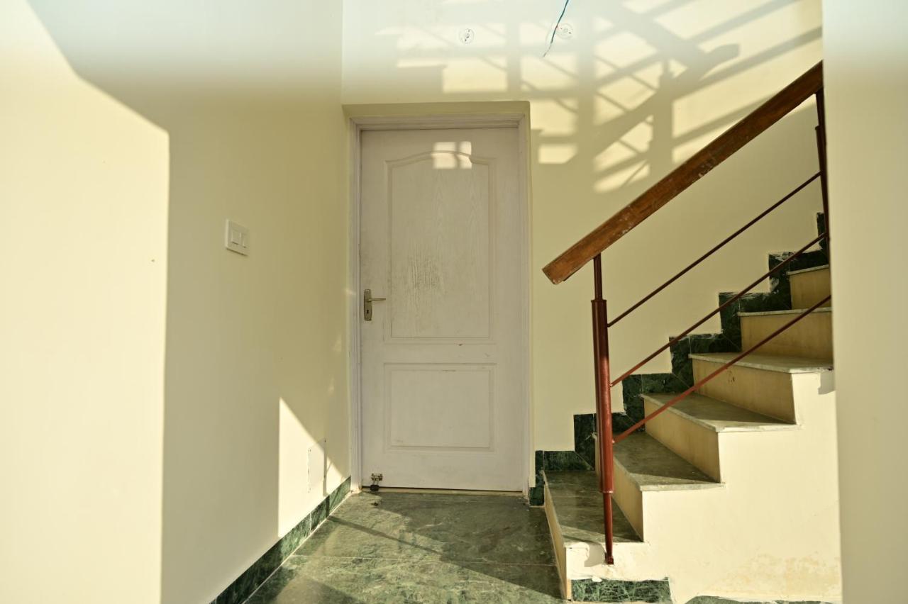 Nest Lucknow