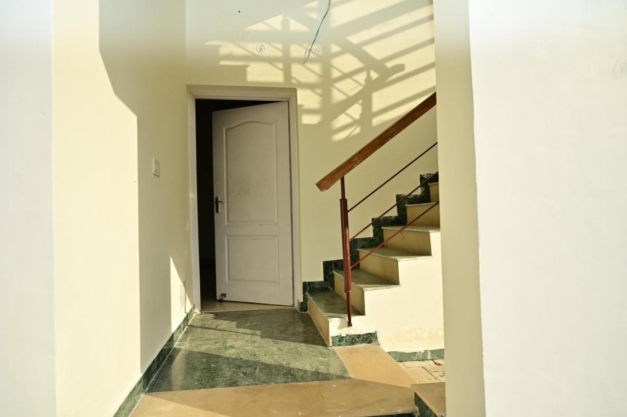 Nest Lucknow