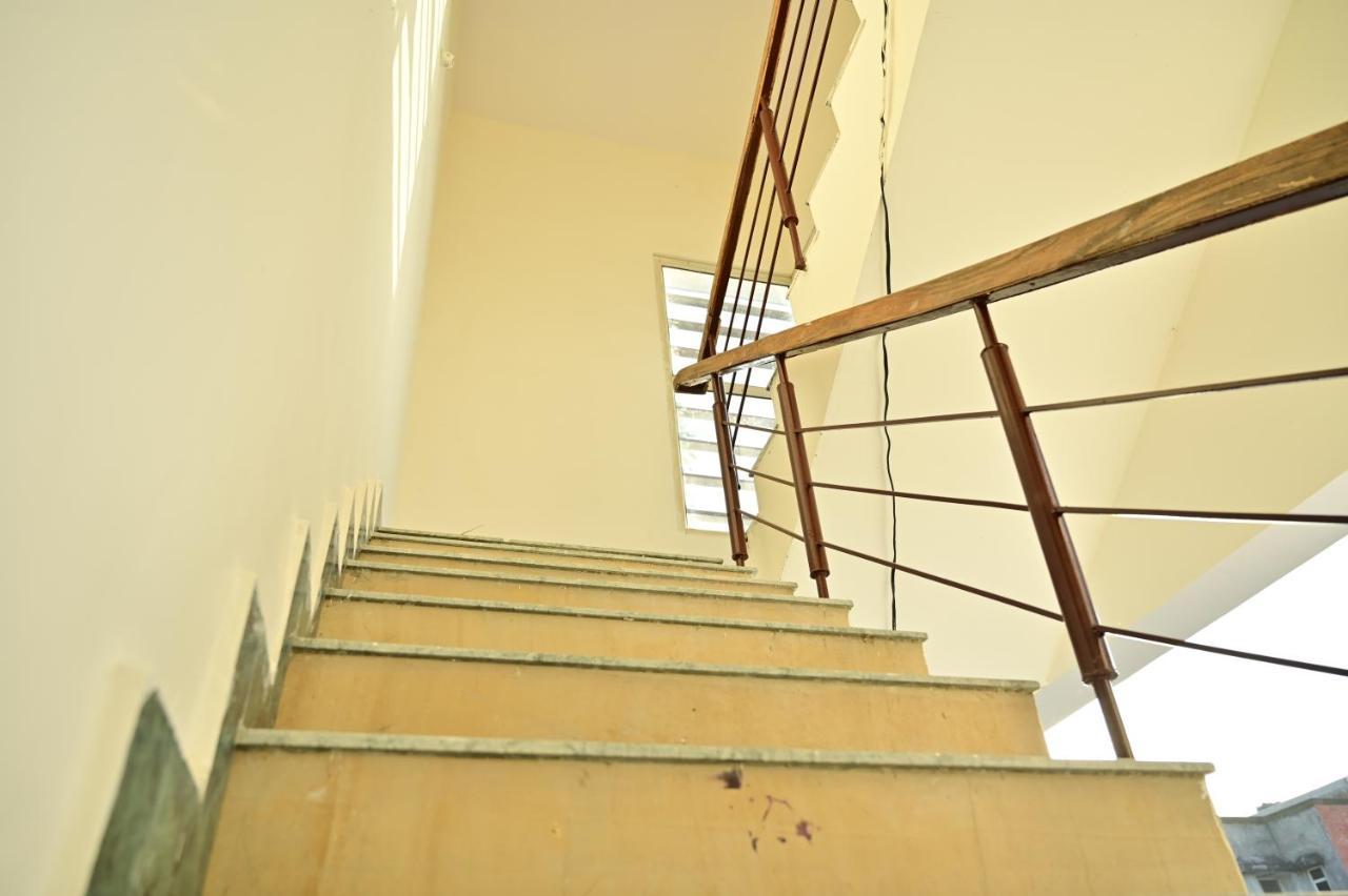 Nest Homestay *